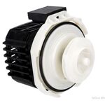 Motore elettropompa originale Whirlpool/Indesit 220/240V con guarnizione C00257903 C00257903        INDESIT