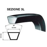CINGHIA 3L 493 AV0920  