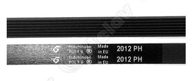 CINGHIA H7 2012 POLY-V 00126675 