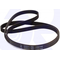 Cinghia 1194 7PHE per Lavatrice San Giorgio ITWash Electrolux Zanussi Rex Z805 04LE501          