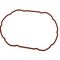 GUARN.CALDAIA FOREVER 600 LSR 3003/70 RO M0S10345         