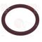 GUARNIZIONE ORM 0320-40 SILICONE 1186862          
