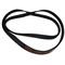 Cinghia di trasmissione 1158 J5 TEM C00112576        