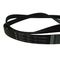 CINGHIA ELASTICA 1201 - 1198 J6 AQUALTIS C00119126        